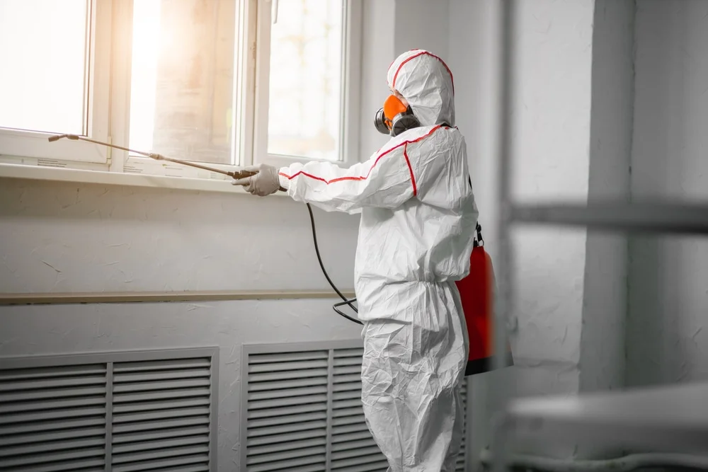 Professional mold remediation services in White Hall, AR